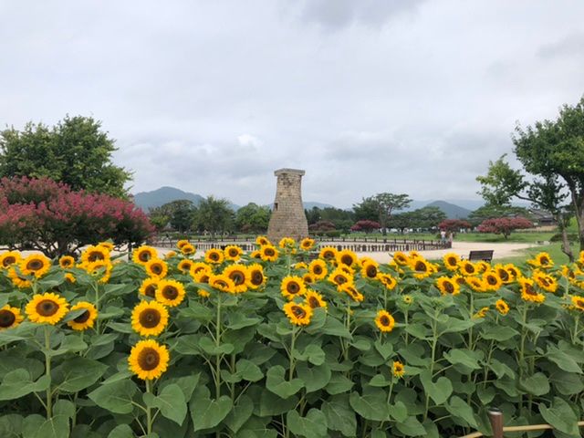 경주는 즐거운 쉼입니다.