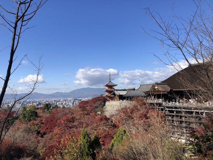 간사이(오사카,교토,나라) 늦 가을